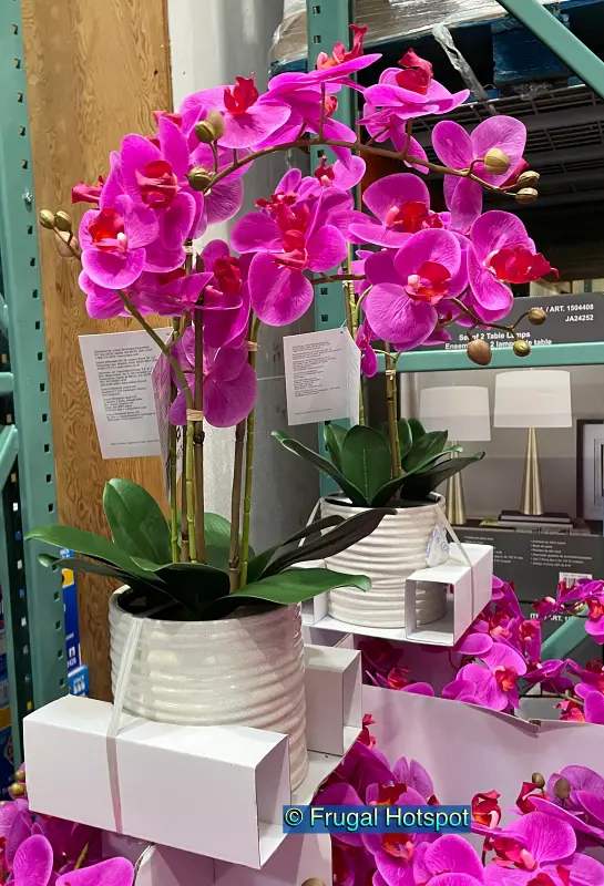 CG Hunter Life-Like Faux Orchid Arrangement | Costco 1558117