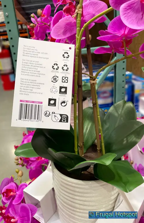 CG Hunter Life-Like Faux Orchid Arrangement at Costco | Item 1558117