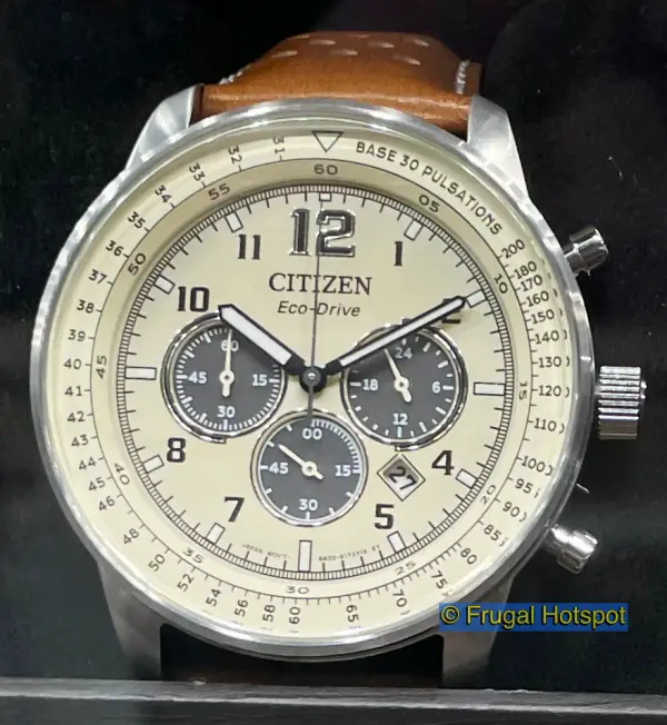 Citizen Eco Drive Weekender Leather Mens Watch | Costco 1748176
